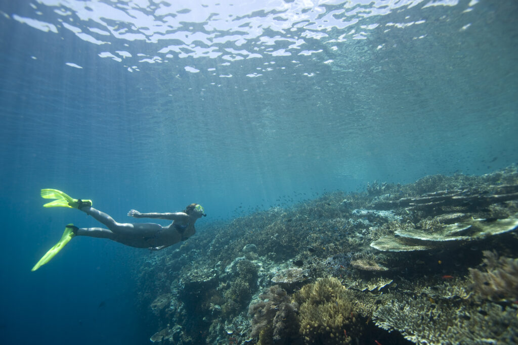 Secret Gilis : Explore the “Secret South Gili islands”, like Gili Goleng, Gili Layar, Gili Renggit & Gili Gede on your private boat. 