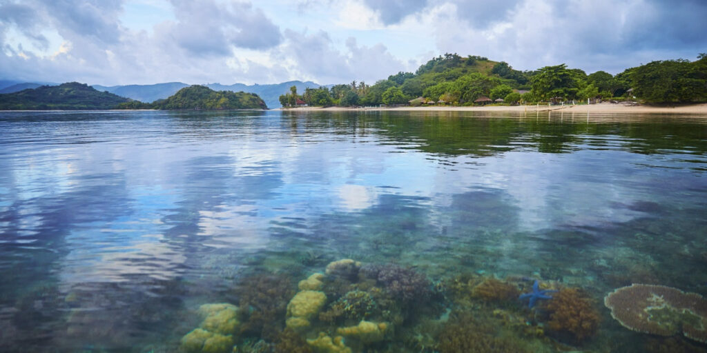 Snorkeling Gili Asahan - Pearl Beach Resort has the best coral home reef of Gili Asahan: a wonderful snorkel & swimm experience for our guest